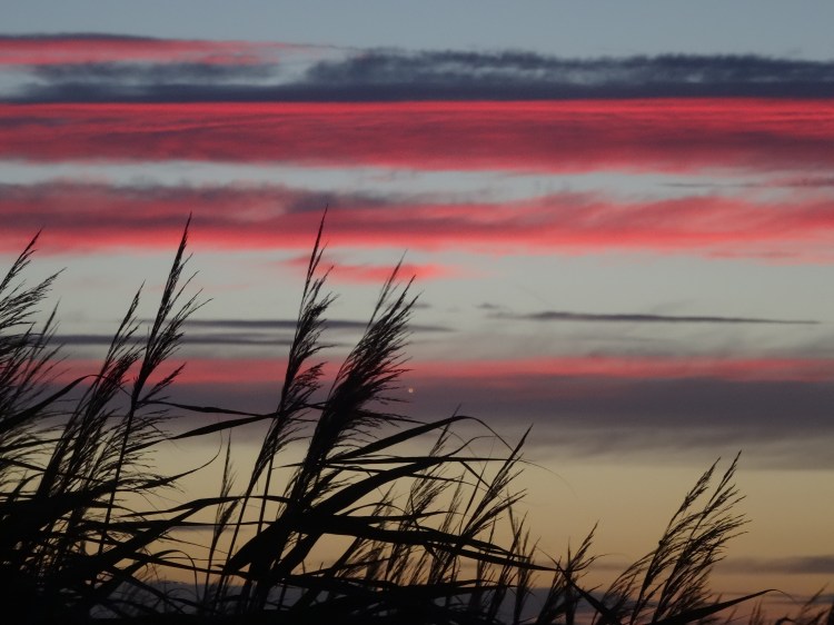 09-september-sea-palling